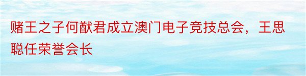 赌王之子何猷君成立澳门电子竞技总会，王思聪任荣誉会长