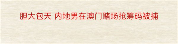 胆大包天 内地男在澳门赌场抢筹码被捕