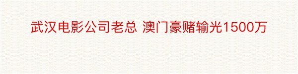 武汉电影公司老总 澳门豪赌输光1500万