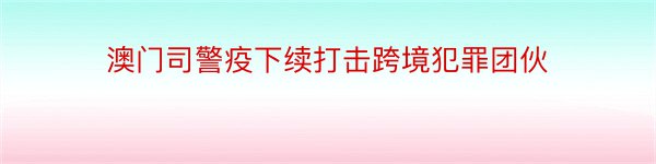 澳门司警疫下续打击跨境犯罪团伙