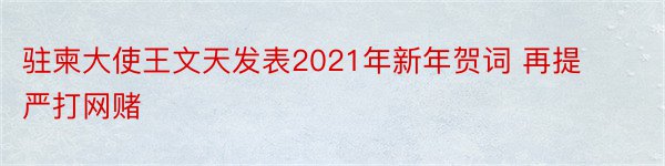 驻柬大使王文天发表2021年新年贺词 再提严打网赌