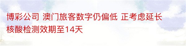 博彩公司 澳门旅客数字仍偏低 正考虑延长核酸检测效期至14天