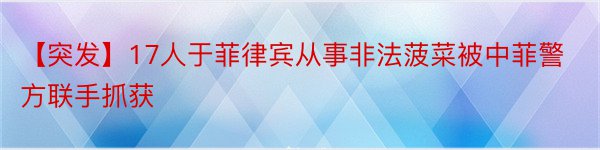 【突发】17人于菲律宾从事非法菠菜被中菲警方联手抓获