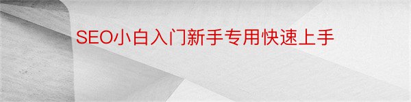 SEO小白入门新手专用快速上手