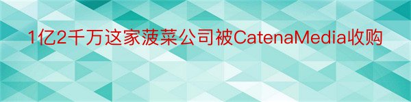 1亿2千万这家菠菜公司被CatenaMedia收购