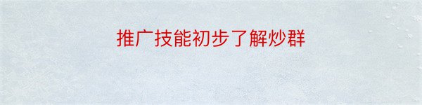 推广技能初步了解炒群