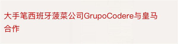 大手笔西班牙菠菜公司GrupoCodere与皇马合作