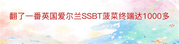 翻了一番英国爱尔兰SSBT菠菜终端达1000多