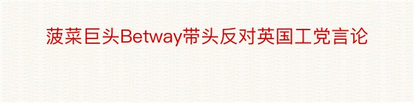 菠菜巨头Betway带头反对英国工党言论