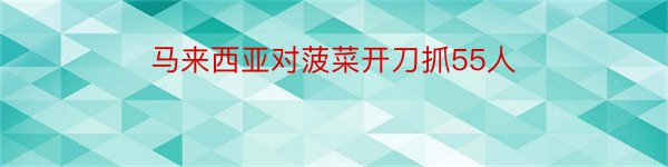 马来西亚对菠菜开刀抓55人