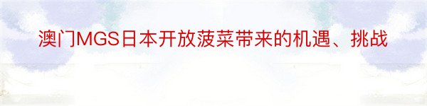 澳门MGS日本开放菠菜带来的机遇、挑战