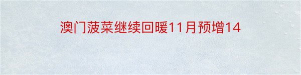 澳门菠菜继续回暖11月预增14