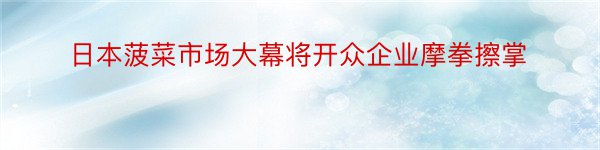 日本菠菜市场大幕将开众企业摩拳擦掌