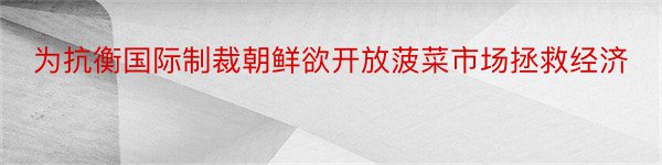 为抗衡国际制裁朝鲜欲开放菠菜市场拯救经济