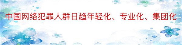 中国网络犯罪人群日趋年轻化、专业化、集团化