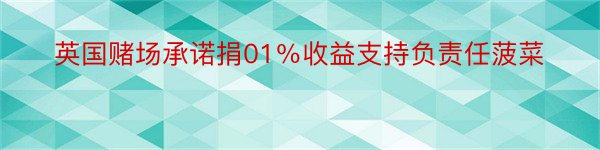 英国赌场承诺捐01％收益支持负责任菠菜