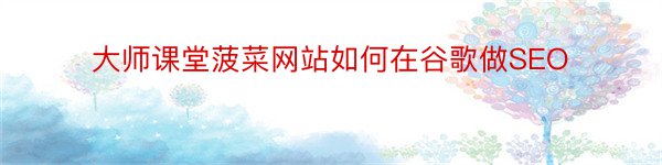 大师课堂菠菜网站如何在谷歌做SEO