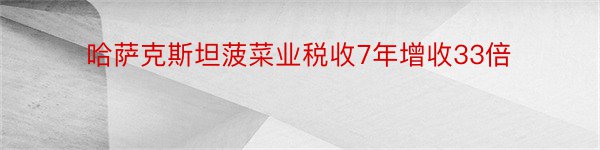 哈萨克斯坦菠菜业税收7年增收33倍