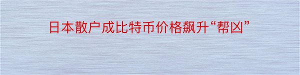 日本散户成比特币价格飙升“帮凶”