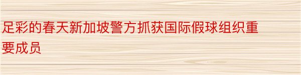 足彩的春天新加坡警方抓获国际假球组织重要成员