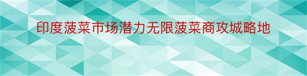 印度菠菜市场潜力无限菠菜商攻城略地