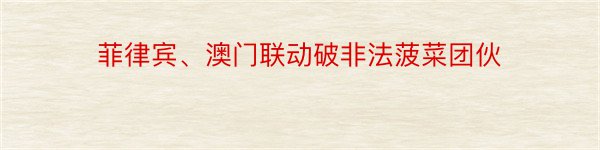 菲律宾、澳门联动破非法菠菜团伙