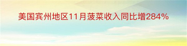 美国宾州地区11月菠菜收入同比增284％