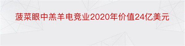 菠菜眼中羔羊电竞业2020年价值24亿美元