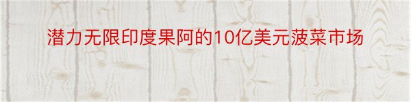 潜力无限印度果阿的10亿美元菠菜市场