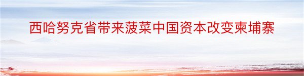 西哈努克省带来菠菜中国资本改变柬埔寨