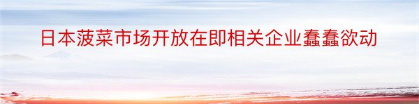 日本菠菜市场开放在即相关企业蠢蠢欲动