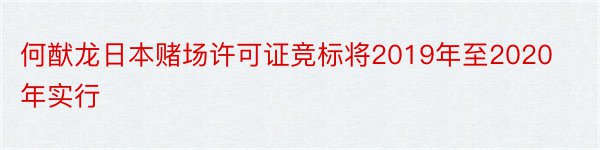 何猷龙日本赌场许可证竞标将2019年至2020年实行