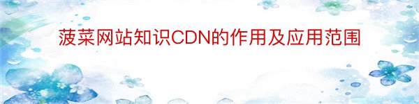 菠菜网站知识CDN的作用及应用范围