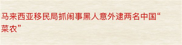 马来西亚移民局抓闹事黑人意外逮两名中国“菜农”