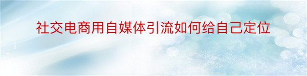 社交电商用自媒体引流如何给自己定位