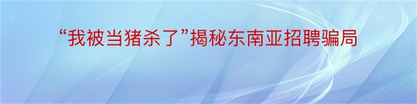 “我被当猪杀了”揭秘东南亚招聘骗局