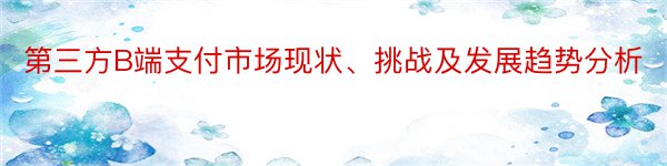 第三方B端支付市场现状、挑战及发展趋势分析