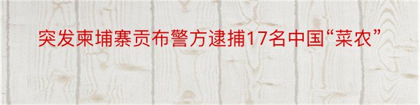 突发柬埔寨贡布警方逮捕17名中国“菜农”