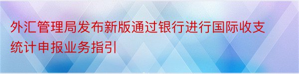 外汇管理局发布新版通过银行进行国际收支统计申报业务指引