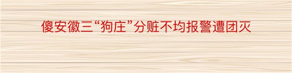 傻安徽三“狗庄”分赃不均报警遭团灭