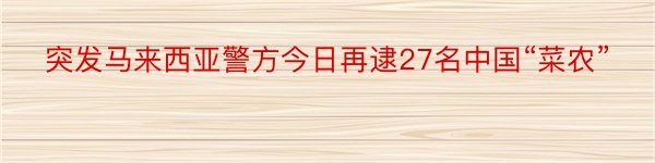 突发马来西亚警方今日再逮27名中国“菜农”