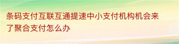 条码支付互联互通提速中小支付机构机会来了聚合支付怎么办