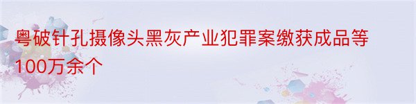 粤破针孔摄像头黑灰产业犯罪案缴获成品等100万余个