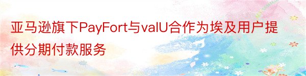 亚马逊旗下PayFort与valU合作为埃及用户提供分期付款服务