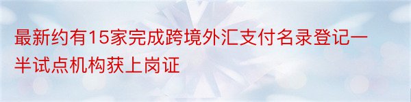 最新约有15家完成跨境外汇支付名录登记一半试点机构获上岗证