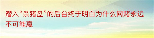 潜入“杀猪盘”的后台终于明白为什么网赌永远不可能赢