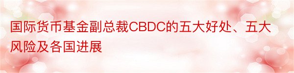 国际货币基金副总裁CBDC的五大好处、五大风险及各国进展