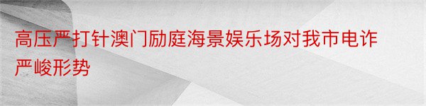 高压严打针澳门励庭海景娱乐场对我市电诈严峻形势