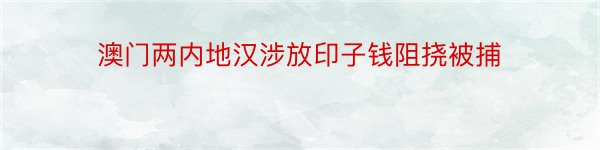 澳门两内地汉涉放印子钱阻挠被捕