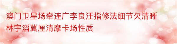 澳门卫星场牵连广李良汪指修法细节欠清晰林宇滔冀厘清摩卡场性质